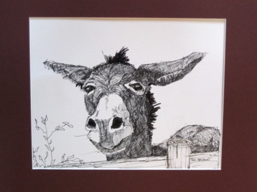Drawing titled "hugo the donkey" by Em Bryant, Original Artwork, Ink