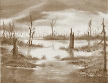Photography titled "Crow's Bottom Marsh…" by Memory Webb, Original Artwork