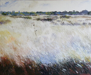 Painting titled "les prairies sauvag…" by Memto, Original Artwork, Acrylic