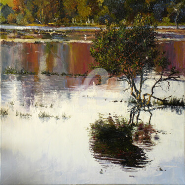 Peinture intitulée "Les champs inondés.…" par Memto, Œuvre d'art originale, Acrylique