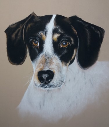 Dessin intitulée "Nina" par Corinne Mercier, Œuvre d'art originale, Pastel