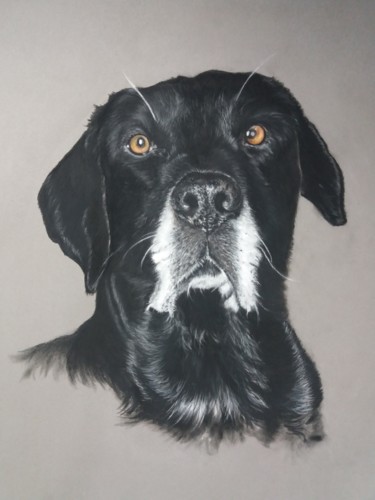 Drawing titled "Eliot" by Corinne Mercier, Original Artwork, Pastel