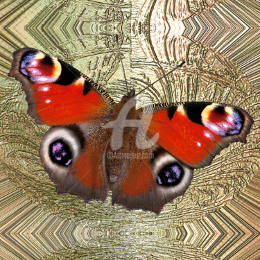 Digital Arts titled "Peacock Butterfly" by Richard Cresswell Thomas, Original Artwork, 2D Digital Work