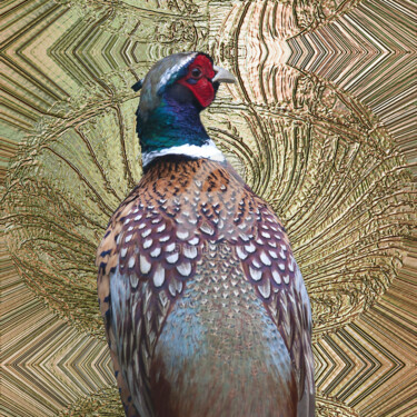 Digital Arts titled "Pheasant 1" by Richard Cresswell Thomas, Original Artwork, 2D Digital Work