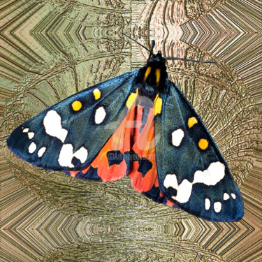 Digital Arts titled "Tiger Moth" by Richard Cresswell Thomas, Original Artwork, 2D Digital Work