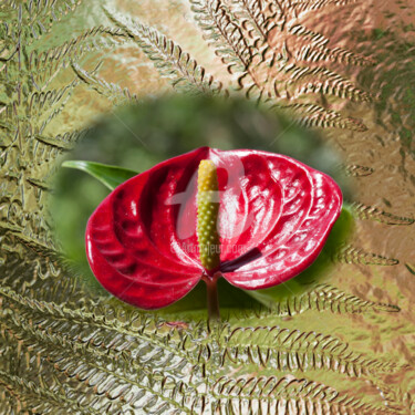 Digital Arts titled "Anthurium" by Richard Cresswell Thomas, Original Artwork, 2D Digital Work