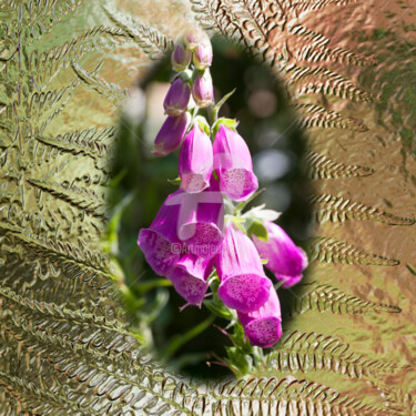 Digital Arts titled "Foxglove" by Richard Cresswell Thomas, Original Artwork, 2D Digital Work