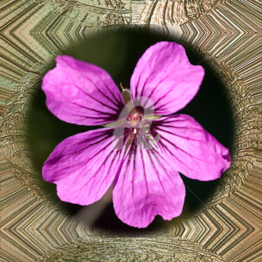 Digital Arts titled "Geranium Sanguinium" by Richard Cresswell Thomas, Original Artwork, 2D Digital Work