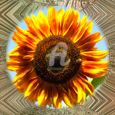 Digital Arts titled "Sunflower Bee" by Richard Cresswell Thomas, Original Artwork, 2D Digital Work