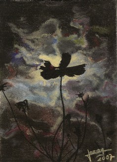 Dessin intitulée "fleur de lune" par Sylvia Leroy, Œuvre d'art originale, Pastel