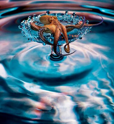 Digital Arts titled "Splash" by Merrill Orr, Original Artwork, 2D Digital Work