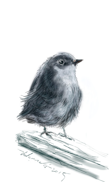 "Mavi kuş" başlıklı Dijital Sanat Meti̇N Yalçin tarafından, Orijinal sanat, 3D modelleme