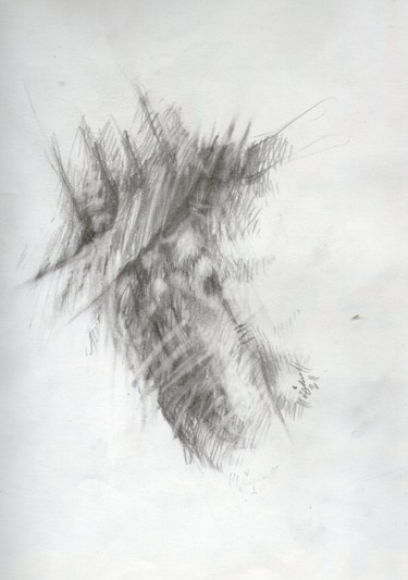Drawing titled "Azzerb b wusan (la…" by Meziane Boussaid, Original Artwork, Pencil