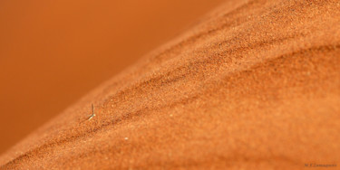 Fotografia intitulada "Sossusvlei" por Mf Zum, Obras de arte originais, Fotografia de filme Montado em Alumínio