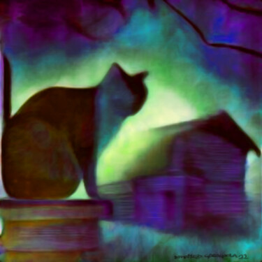 Arte digitale intitolato "Notturno di gatto n…" da Matteo Garagiola Lacchiarella, Opera d'arte originale, Pittura digitale