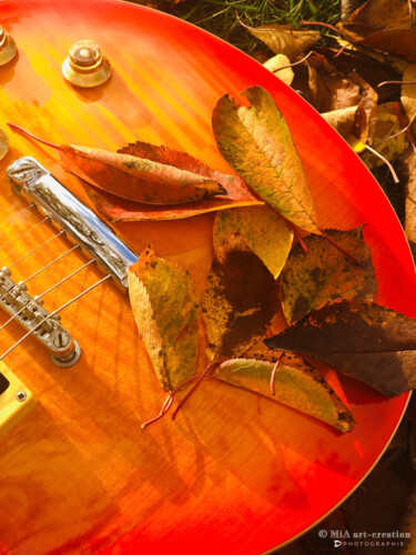 GUITARE Capsule Automne - 34 Photography titled "GUITARE Capsule Aut…" by Mia Art-Creation, Original Art, Digital Photography