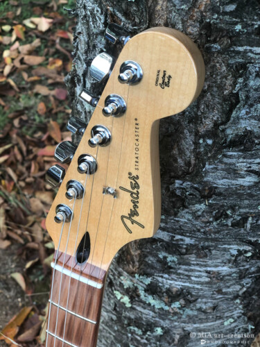 GUITARE Capsule Automne - 44 Фотография под названием "GUITARE Capsule Aut…" - Mia Art-Creation, Подлинное произведение искусства, Цифровая фотография