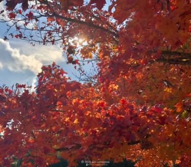 Photographie intitulée "Feuilles d'Automne…" par Mia Art-Creation, Œuvre d'art originale, Photographie numérique