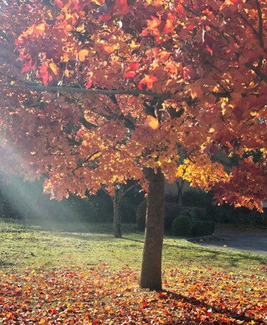 Photographie intitulée "Feuilles d'Automne…" par Mia Art-Creation, Œuvre d'art originale, Photographie numérique