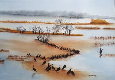 Pintura intitulada "les cormorans" por Dominique Kuehn, Obras de arte originais, Aquarela