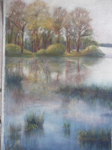Peinture intitulée "le lac" par Micha B., Œuvre d'art originale