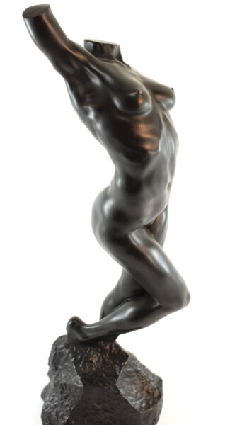 雕塑 标题为“Female torso two” 由Michael A. Craig, 原创艺术品, 三维建模