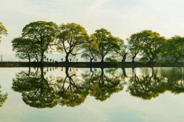 Fotografía titulada "Trees reflection" por Michael Photography, Obra de arte original