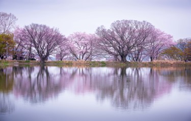"Blossom" başlıklı Fotoğraf Michael Photography tarafından, Orijinal sanat
