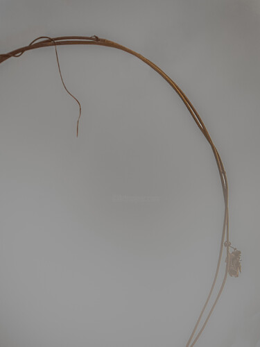 Photographie intitulée "A Dark Branch In Th…" par Michael Lomiya, Œuvre d'art originale, Photographie manipulée