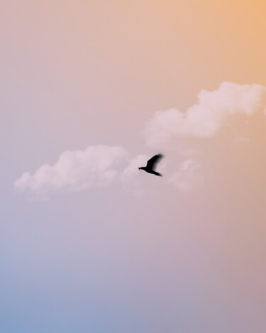 Photographie intitulée "Blackbird. Sky In O…" par Michael Lomiya, Œuvre d'art originale, Photographie manipulée