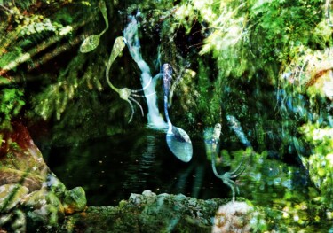 Digitale Kunst mit dem Titel "Wasserfall bei Auri…" von Michael Robohm, Original-Kunstwerk, Digitale Fotografie