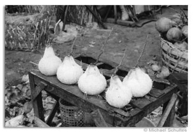 Photographie intitulée "coconuts in Nha Tra…" par Michael Schultes, Œuvre d'art originale