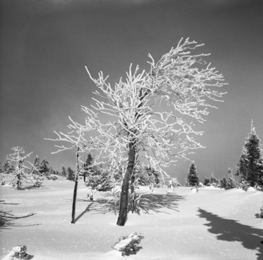 Fotografie mit dem Titel "winter time 3" von Michal Vojkuvka, Original-Kunstwerk, Analog Fotografie