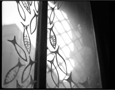 Fotografia intitolato "Fishes on the window" da Michal Vojkuvka, Opera d'arte originale, fotografia a pellicola