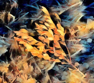 Photography titled "flame-grass.jpg" by Micheal Driscoll, Original Artwork