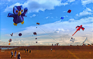 Photography titled "cambridge-md-kite-f…" by Micheal Driscoll, Original Artwork