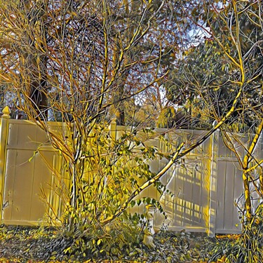 Photographie intitulée "backyard-cambridge-…" par Micheal Driscoll, Œuvre d'art originale, Autre