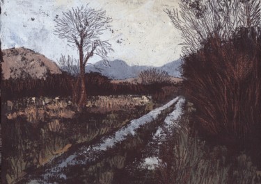 Pintura titulada "Bridia Valley I" por Micheal O Muirthile, Obra de arte original, Oleo