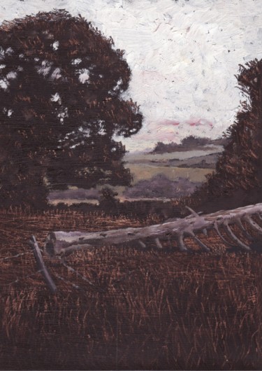 绘画 标题为“Donal's Field” 由Micheal O Muirthile, 原创艺术品, 油