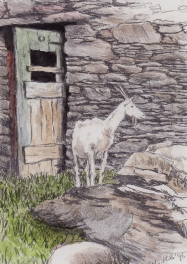 Drawing titled "Goat at Carraig Far…" by Micheal O Muirthile, Original Artwork, Pencil
