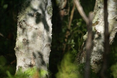 Photographie intitulée "Lagune de Contaut" par Michel Audebert, Œuvre d'art originale, Photographie numérique