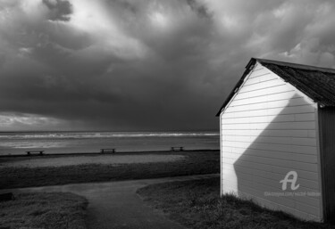 Fotografía titulada "hivernal" por Michel Babkine, Obra de arte original, Fotografía digital