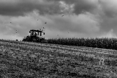 Photographie intitulée "travaux agricoles" par Michel Babkine, Œuvre d'art originale, Photographie numérique