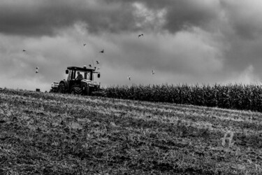 Fotografia intitolato "travaux agricoles" da Michel Babkine, Opera d'arte originale, Fotografia digitale