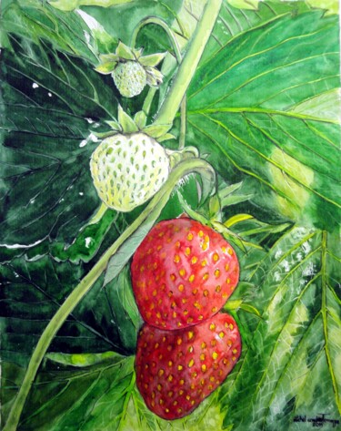 Painting titled "FRAISES" by Michel Cendra-Terrassa, Original Artwork, Watercolor