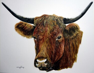 Painting titled "LA VACHE A MARYSE" by Michel Cendra-Terrassa, Original Artwork, Watercolor