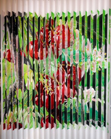 Peinture intitulée "DES  FLEURS  AUX  F…" par Michel Cendra-Terrassa, Œuvre d'art originale, Aquarelle