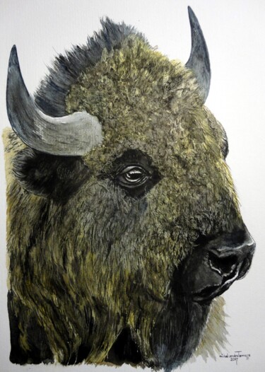 Painting titled "BISON" by Michel Cendra-Terrassa, Original Artwork, Watercolor