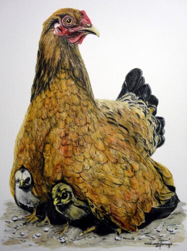 Painting titled "MÈRE POULE" by Michel Cendra-Terrassa, Original Artwork, Watercolor