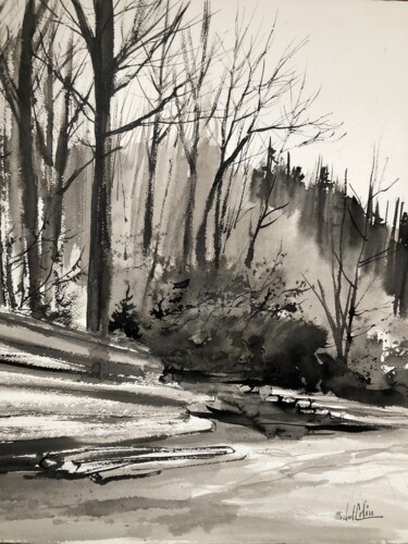 Dessin intitulée "chemin  forestier,…" par Michel Colin, Œuvre d'art originale, Encre